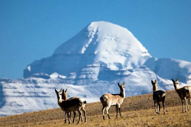 Tibet Tour 15 Days Lhasa to Kailash Trekking Small Group via EBC - Lhasa First, Then the Big Route: How the Trip Pace Works