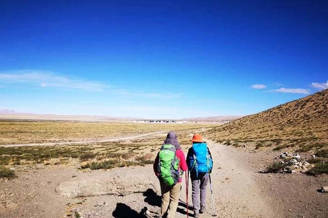 Tibet Tour 15 Days Lhasa to Kailash Trekking Small Group via EBC - Saga Valley and Manasarovar Wetland: When the Route Starts Feeling More Wild