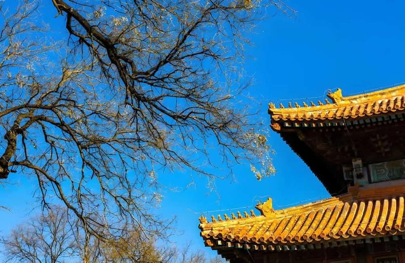 Tickets to all Beijing attractions (Forbidden City optional) - How starting points and time windows shape your day