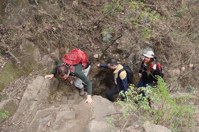 Wild Great Wall Hikes - The Day Plan on Foot: Climb, Summit Snacks, and a Wall Descent