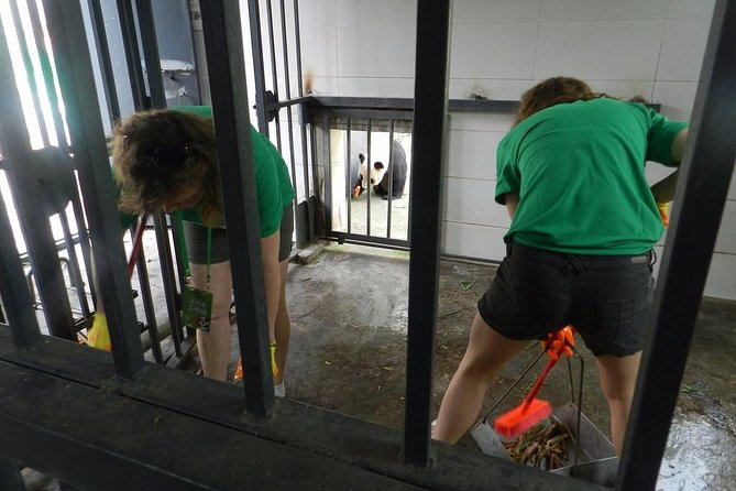 Wolong Panda Base Volunteering Program from Chengdu - The early start from Chengdu: pickup timing and how to prep