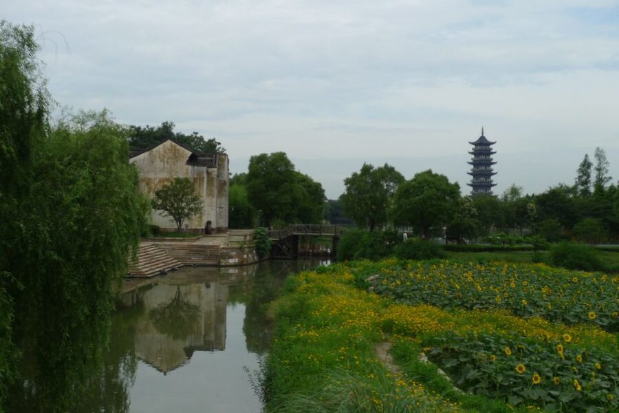 Wuzhen Private Full-Day Tour from Shanghai - Indigo Fabric Workshop and the water market: crafts plus real food smells