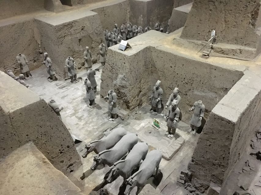 Xi'an:Terracotta Army Museum Walking Tour with Entry Tickets - The main museum visit: what the 2-hour walk is really for