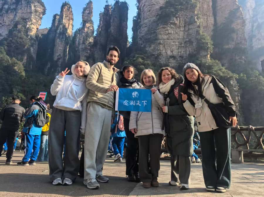 Zhangjiajie: VIP Zhangjiajie National Forest Park Day Tour - Key highlights to look for