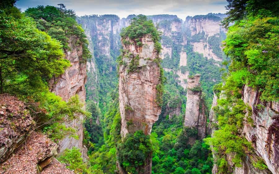 Zhangjiajie: VIP Zhangjiajie National Forest Park Day Tour - First stops around Wulingyuan and Zhangjiajie National Forest Park