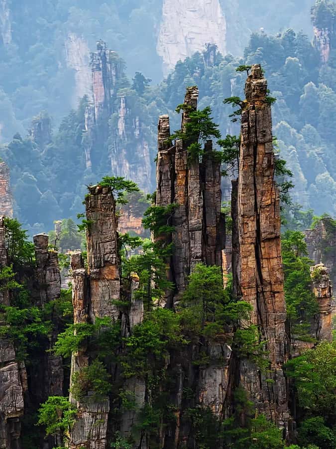 Zhangjiajie: VIP Zhangjiajie National Forest Park Day Tour - Optional Xiangxi Impressions: add culture if you still have energy