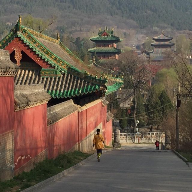 Zhengzhou: Private Tour to Shaolin Temple & Longmen Grottoes - A one-day UNESCO hit: Shaolin Temple and Longmen Grottoes